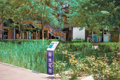 北京交通大学电气楼和逸夫楼夹角处的“雨水花园”.jpg 北京交通大学电气楼和逸夫楼夹角处的“雨水花园”.jpg