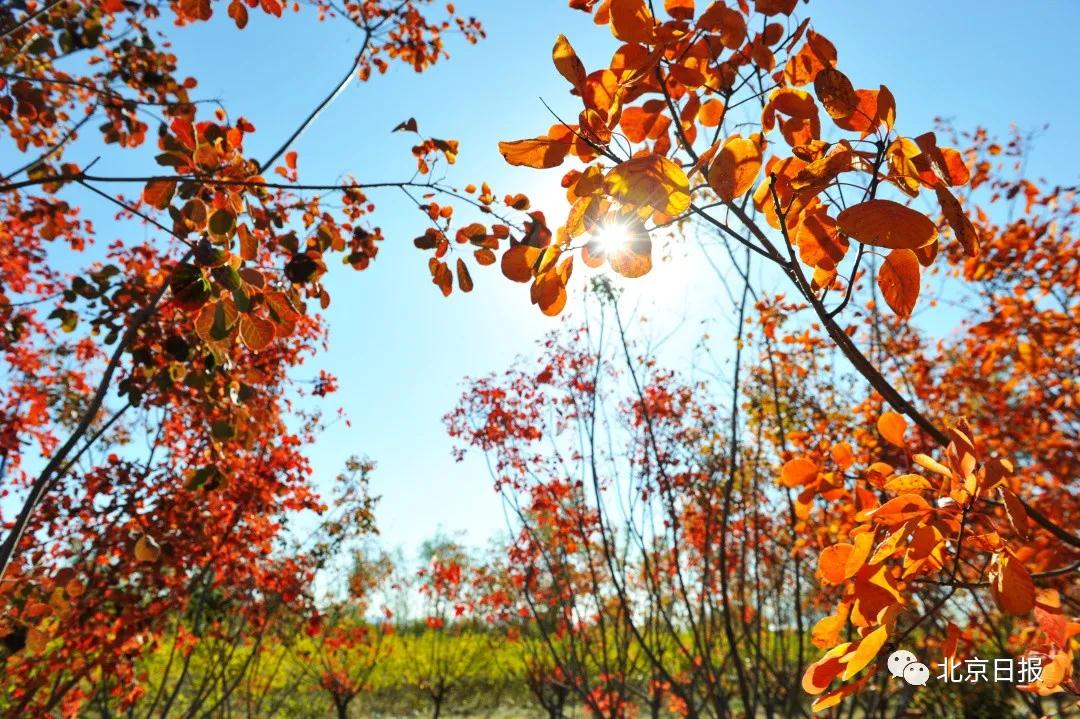 (图6:延庆区张山营生态清洁小流域).jpg (图6:延庆区张山营生态清洁小流域).jpg