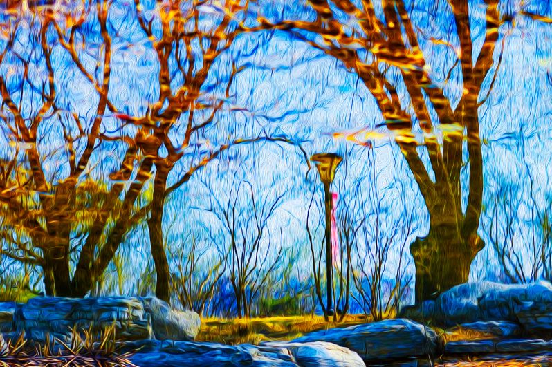 树倒波心濯练光（倒影）---- 翁强