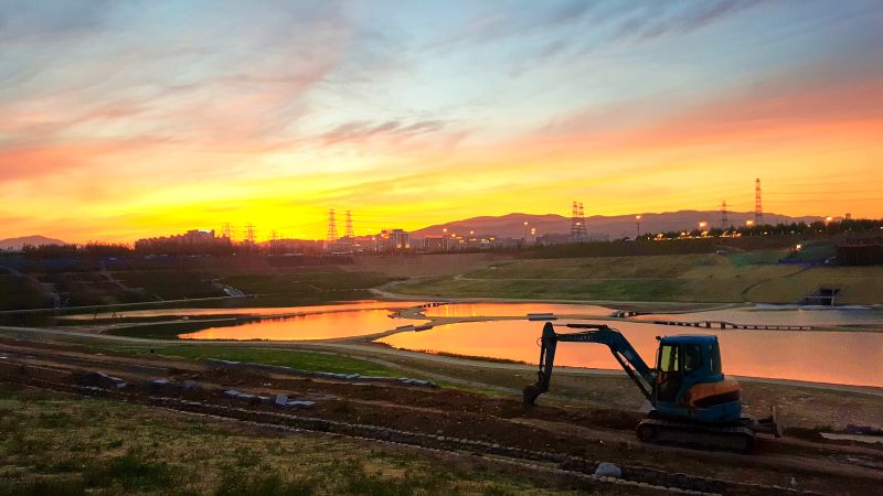 梦幻西蓄----杨连生