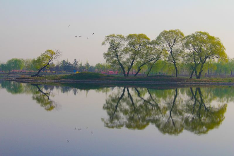 运河春来早-----王晓明