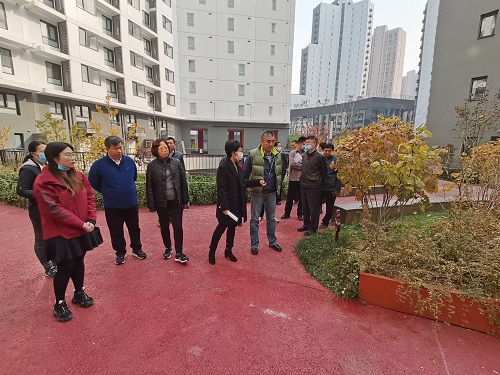 4检查百子湾保障房项目公租房地块海绵城市建设情况.jpg 4检查百子湾保障房项目公租房地块海绵城市建设情况.jpg