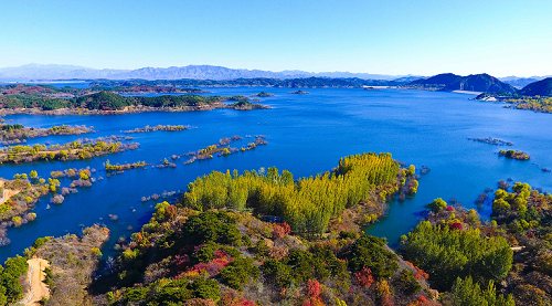 (图1).png (图1).png