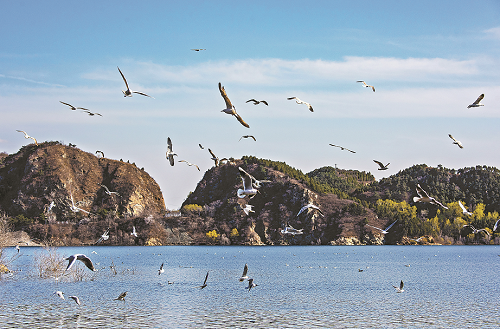 (图3).png (图3).png