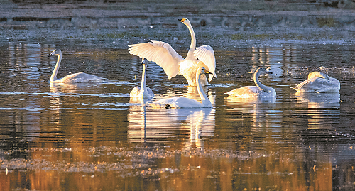 (图4).png (图4).png