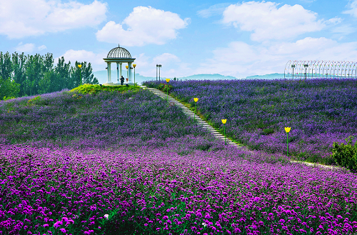 (图5:蔡家洼生态清洁小流域).png (图5:蔡家洼生态清洁小流域).png