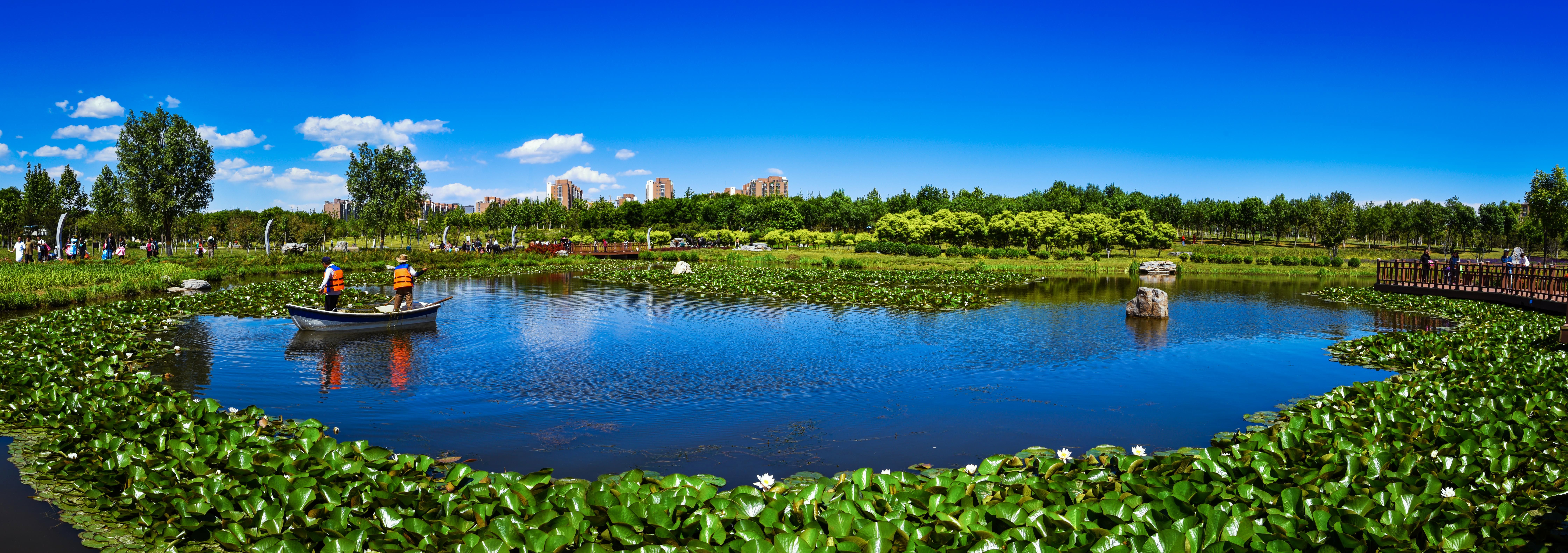长阳公园初夏----宋威