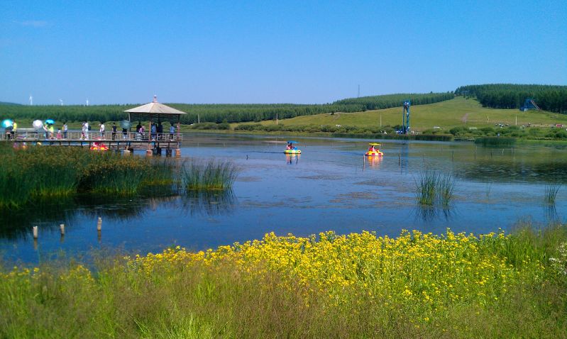 海天盛宴----林玉忠