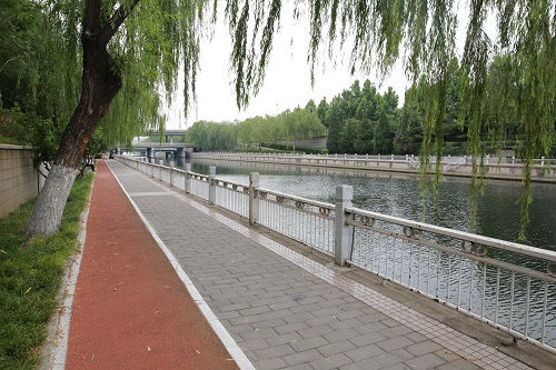2020.06.22沿河行人步道河道美景+水环境+水景观.JPG