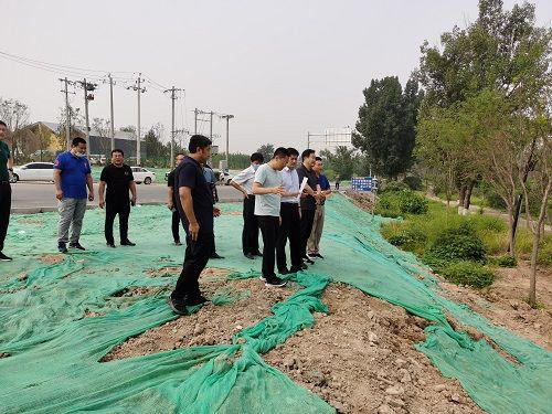 检查沙子营桥考核断面.png 检查沙子营桥考核断面.png