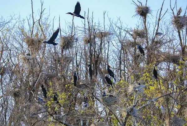 1.webp.jpg 1.webp.jpg