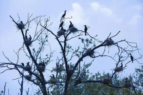 2.webp.jpg 2.webp.jpg