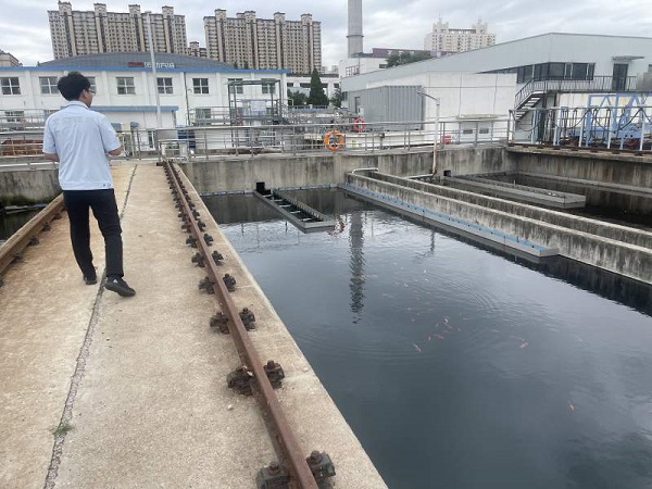 1经过脱氮技术后，污水还清，科研人员在池中投放了鱼苗。新京报记者 吴婷婷 摄.jpg