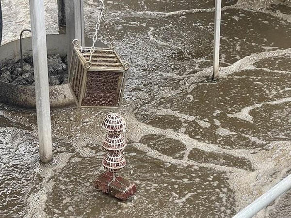 2能让污水强效脱氮的红菌。新京报记者 吴婷婷 摄.jpg